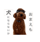 むっくスタンプー（個別スタンプ：8）