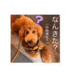 むっくスタンプー（個別スタンプ：10）