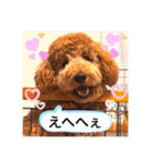 むっくスタンプー（個別スタンプ：13）