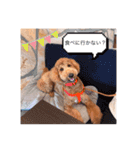 むっくスタンプー（個別スタンプ：14）