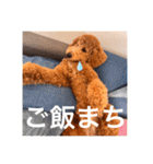 むっくスタンプー（個別スタンプ：23）
