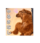 むっくスタンプー（個別スタンプ：28）