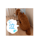 むっくスタンプー（個別スタンプ：32）