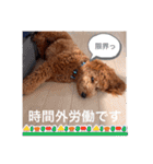 むっくスタンプー（個別スタンプ：34）