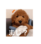 むっくスタンプー（個別スタンプ：35）