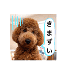 むっくスタンプー（個別スタンプ：38）