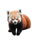 レッサーパンダ E（個別スタンプ：8）