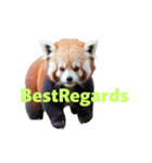 レッサーパンダ E（個別スタンプ：12）