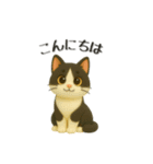 犬＆猫ちゃん大丈夫！かわいい3Dスタンプ◎（個別スタンプ：5）