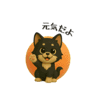 犬＆猫ちゃん大丈夫！かわいい3Dスタンプ◎（個別スタンプ：11）