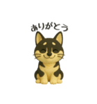 犬＆猫ちゃん大丈夫！かわいい3Dスタンプ◎（個別スタンプ：14）