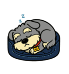シュナウザーの日常.カラフルver.（個別スタンプ：30）