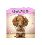 もふもふ♡ミニチュアダックスの毎日（個別スタンプ：3）