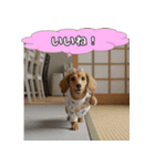 もふもふ♡ミニチュアダックスの毎日（個別スタンプ：5）