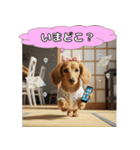 もふもふ♡ミニチュアダックスの毎日（個別スタンプ：9）
