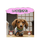 もふもふ♡ミニチュアダックスの毎日（個別スタンプ：11）