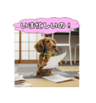 もふもふ♡ミニチュアダックスの毎日（個別スタンプ：12）