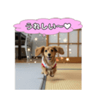 もふもふ♡ミニチュアダックスの毎日（個別スタンプ：14）