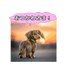 もふもふ♡ミニチュアダックスの毎日（個別スタンプ：20）