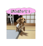 もふもふ♡ミニチュアダックスの毎日（個別スタンプ：26）