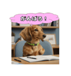 もふもふ♡ミニチュアダックスの毎日（個別スタンプ：27）