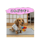 もふもふ♡ミニチュアダックスの毎日（個別スタンプ：29）