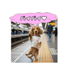 もふもふ♡ミニチュアダックスの毎日（個別スタンプ：31）