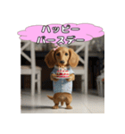 もふもふ♡ミニチュアダックスの毎日（個別スタンプ：33）
