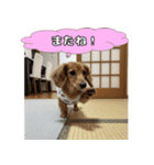 もふもふ♡ミニチュアダックスの毎日（個別スタンプ：36）