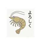 釣り好き専用！使いたくなるスタンプ＋2（個別スタンプ：11）