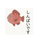 釣り好き専用！使いたくなるスタンプ＋2（個別スタンプ：12）