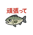 釣り好き専用！使いたくなるスタンプ⑩（個別スタンプ：18）