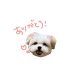 ジ！（個別スタンプ：3）