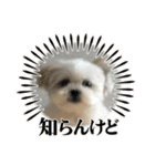 ジ！（個別スタンプ：31）