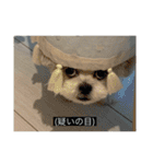 ジ！（個別スタンプ：33）