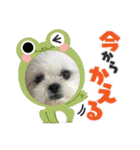 ジ！（個別スタンプ：38）