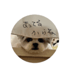 ジ！（個別スタンプ：39）