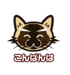 日常で結構万能に使えるシャム猫スタンプ！（個別スタンプ：3）