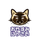 日常で結構万能に使えるシャム猫スタンプ！（個別スタンプ：4）