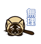 日常で結構万能に使えるシャム猫スタンプ！（個別スタンプ：15）