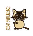 日常で結構万能に使えるシャム猫スタンプ！（個別スタンプ：17）