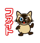 日常で結構万能に使えるシャム猫スタンプ！（個別スタンプ：19）