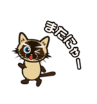 日常で結構万能に使えるシャム猫スタンプ！（個別スタンプ：21）