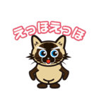 日常で結構万能に使えるシャム猫スタンプ！（個別スタンプ：27）