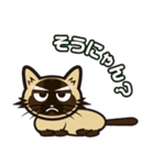 日常で結構万能に使えるシャム猫スタンプ！（個別スタンプ：33）