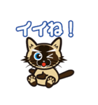 日常で結構万能に使えるシャム猫スタンプ！（個別スタンプ：36）