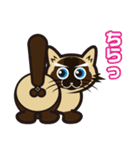 日常で結構万能に使えるシャム猫スタンプ！（個別スタンプ：37）
