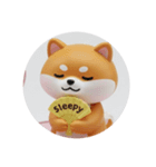 もふもふ柴犬カプセルトイ(丸型)（個別スタンプ：5）