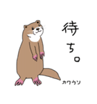 8匹の茶色い動物たちʕ•ᴥ•ʔ（個別スタンプ：12）