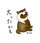 8匹の茶色い動物たちʕ•ᴥ•ʔ（個別スタンプ：15）